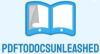 PDFtoDocsUnleashed